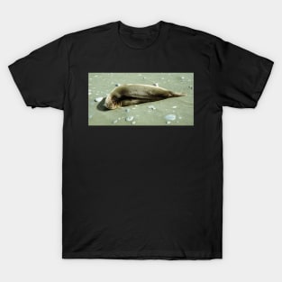 Southern Elephant Seal Pup, Macquarie Island T-Shirt